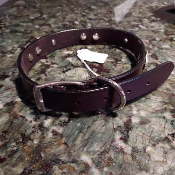 xx Other - New and unworn Beautiful leather dog collar with blue crystal and silver conchos
